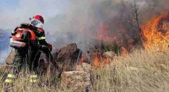 Incendi: mancanza di pulizia terreni, cinque proprietari a giudizio