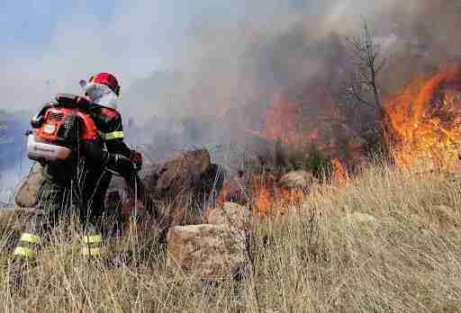 Incendi: mancanza di pulizia terreni, cinque proprietari a giudizio