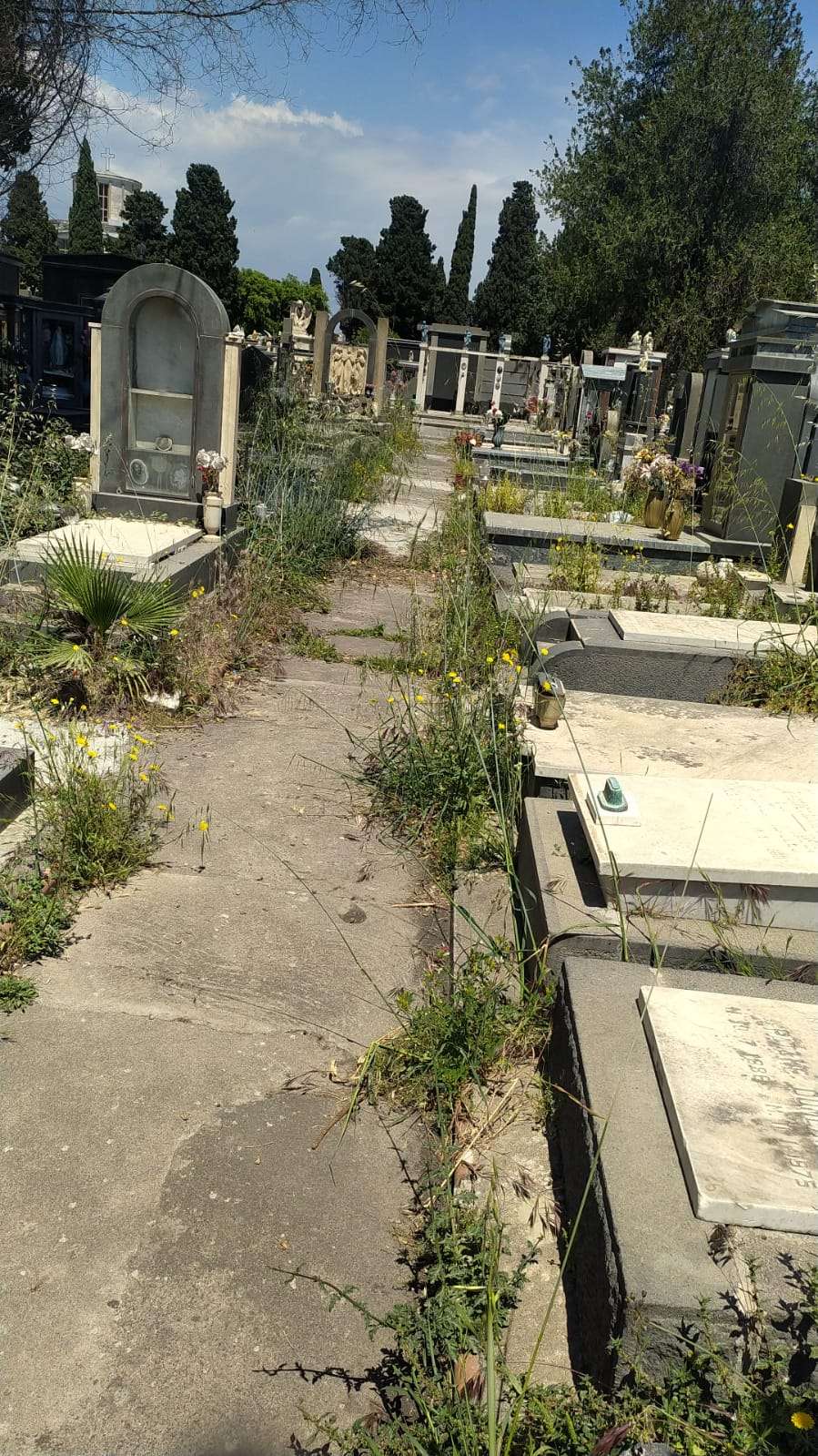 Catania, un cimitero….di speranze deluse