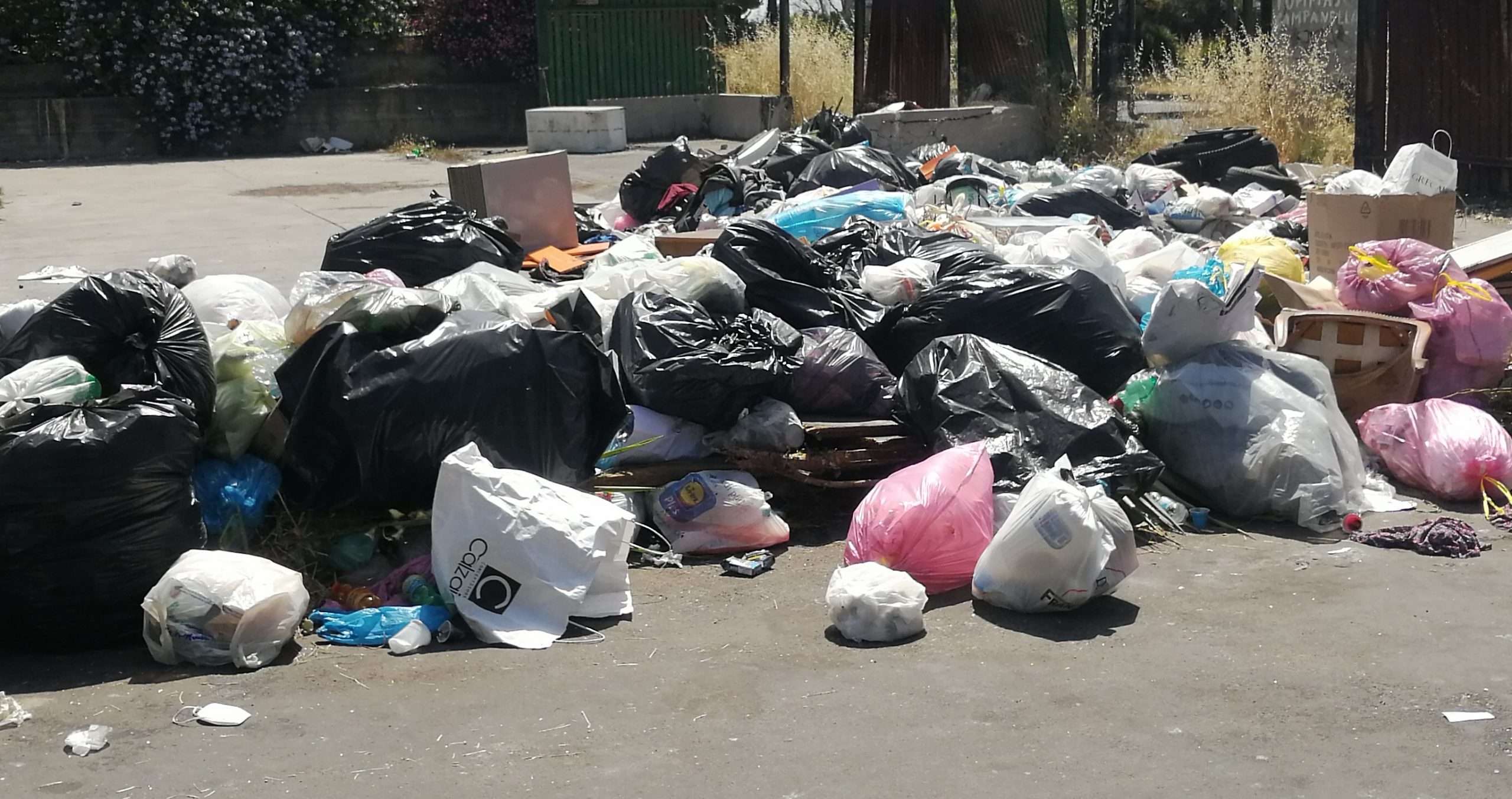 Strade invase dai rifiuti, Cardello: “Fermate questo degrado”