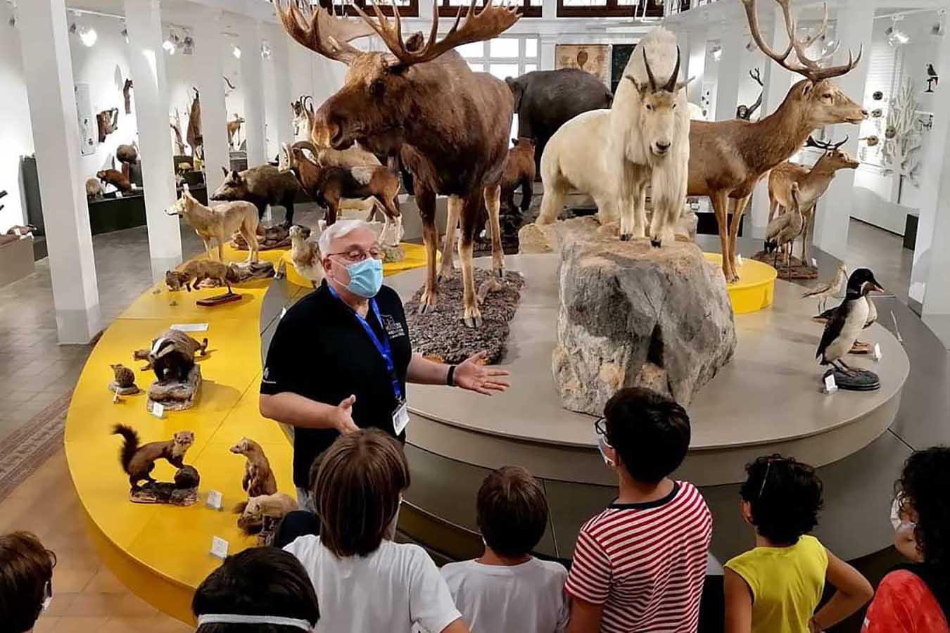 Al Museo di Zoologia oltre 11mila visitatori nel 2022