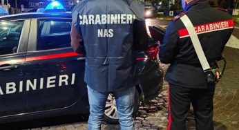 Controlli del Nas in aziende vinicole, sequestri