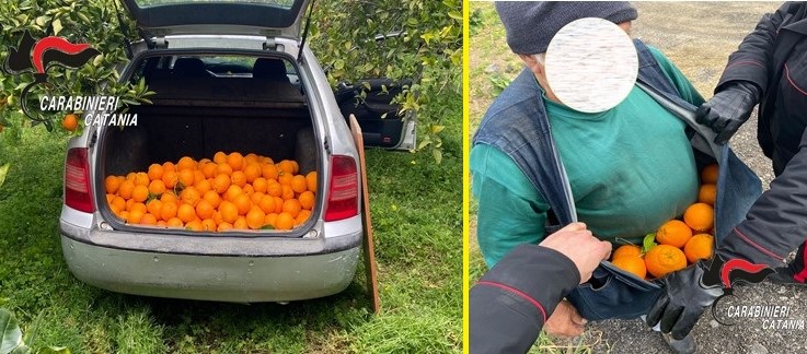 Mineo: in trasferta per fare il “pieno” di arance, tre arresti