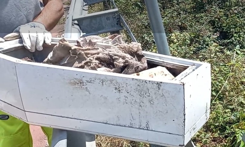 Rinvenuta piccola bara bianca ai margini di una strada