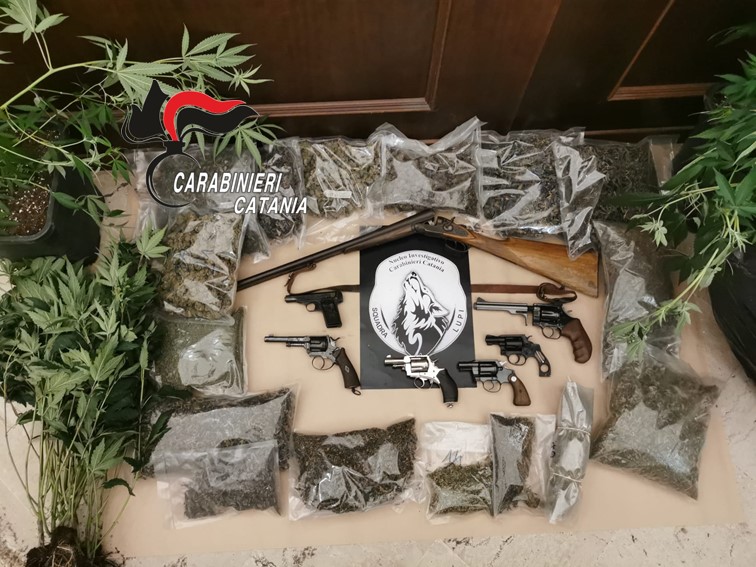Picanello: i Carabinieri trovano una serra indoor e arsenale