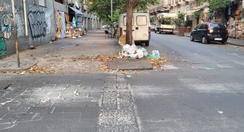 Multati una decina di cittadini incivili mentre gettano rifiuti su un albero