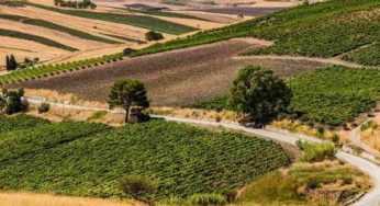 Agricoltura: emergenza siccità nelle aree interne di Ramacca, Palagonia, Scordia e Mineo