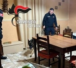 Biancavilla: perquisizioni antidroga, i Carabinieri trovano marijuana