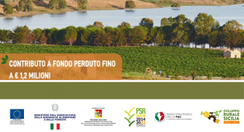 Rendi più competitiva la tua azienda agricola con i nuovi bandi per la diversificazione delle attività finanziati dal PSP 2023-2027