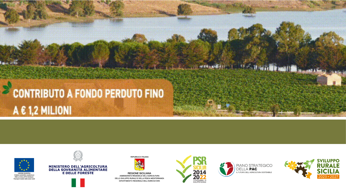 Rendi più competitiva la tua azienda agricola con i nuovi bandi per la diversificazione delle attività finanziati dal PSP 2023-2027