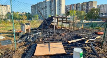 Atti vandalici reiterati agli orti urbani di Librino