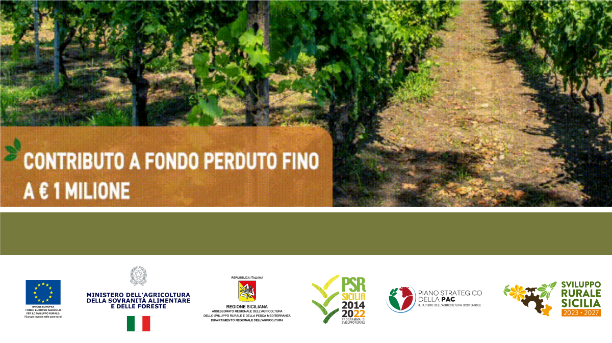 “Strade per il Futuro: migliora la viabilità delle aree rurali siciliane con il nuovo bando del PSP 2023-2027”