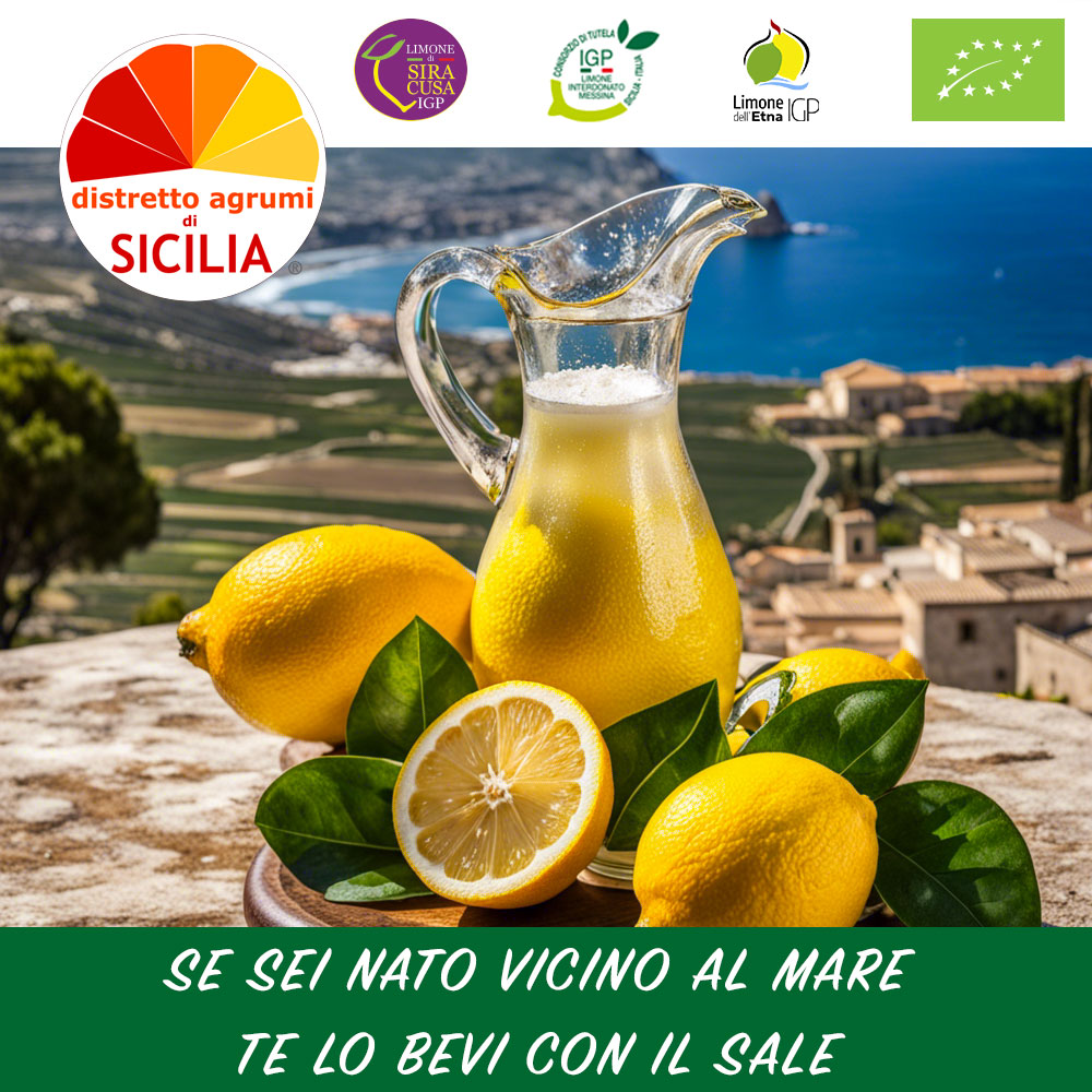 I limoni siciliani protagonisti della nuova campagna social del Distretto Agrumi di Sicilia