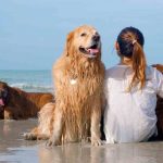 Cani in spiaggia con una bambina