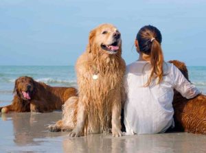 Cani in spiaggia con una bambina