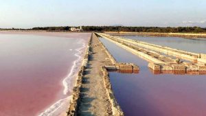 Scopri il mare rosa in Sicilia