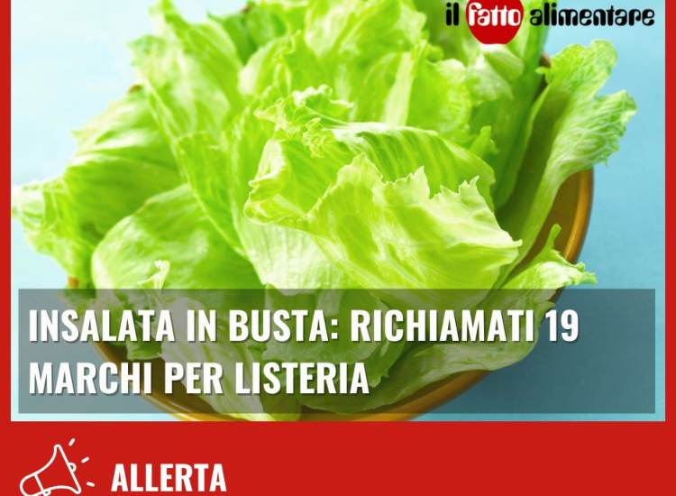 Richiamo insalata 