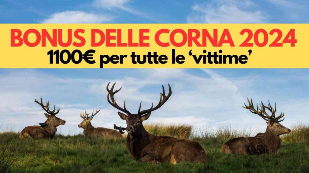 Meloni annuncia il bonus delle corna