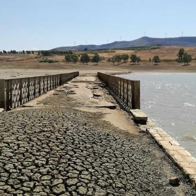 Sicilia: La Siccità e il Rischio di Desertificazione Mettono a Dura Prova il Sistema Idrogeologico