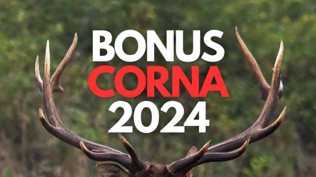 Meloni approva il bonus corna