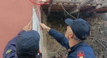 Scoperta stalla abusiva a Catania: denunce per maltrattamento e detenzione illegale